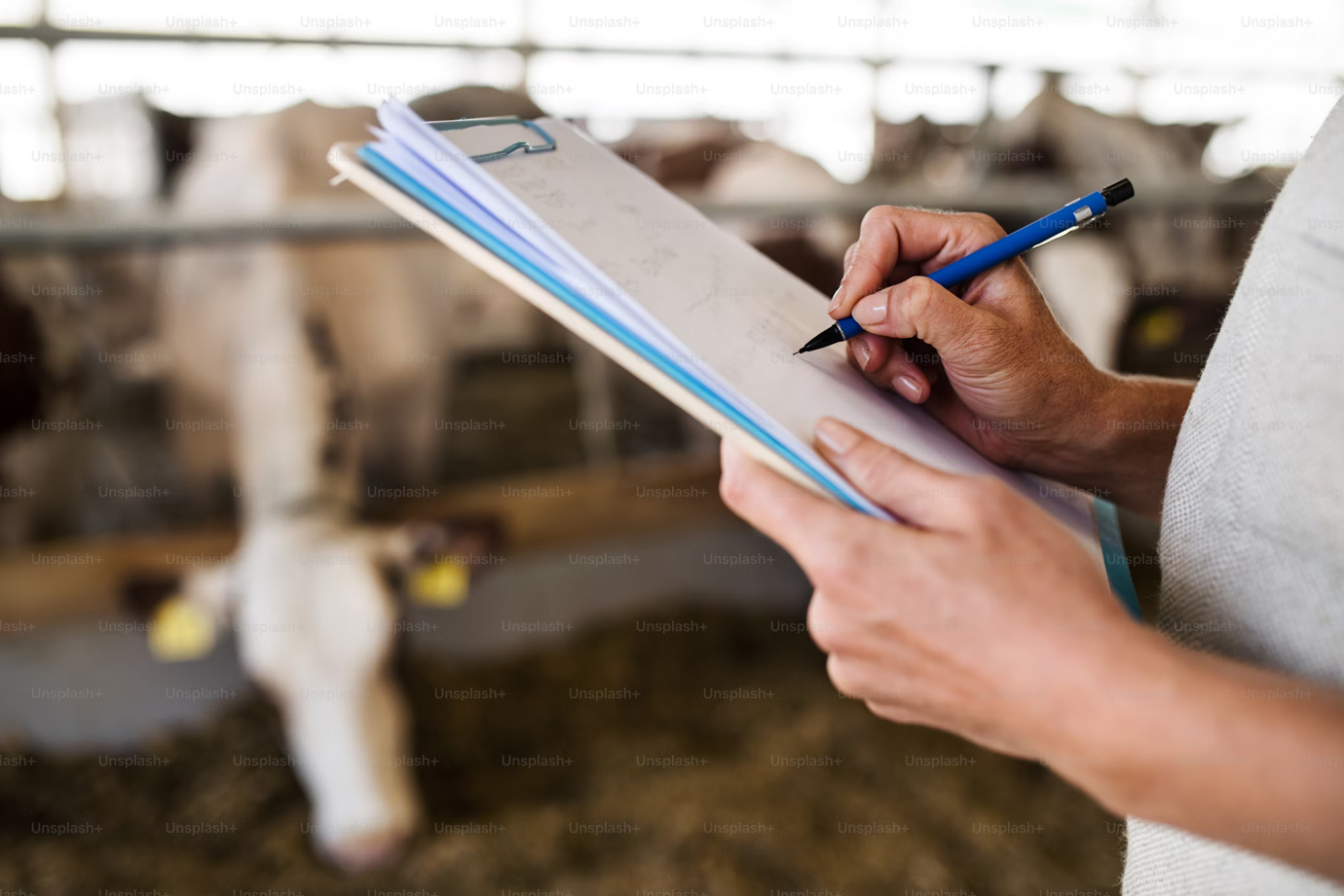 Farmer checking maintenance schedule on tablet in front of tractor